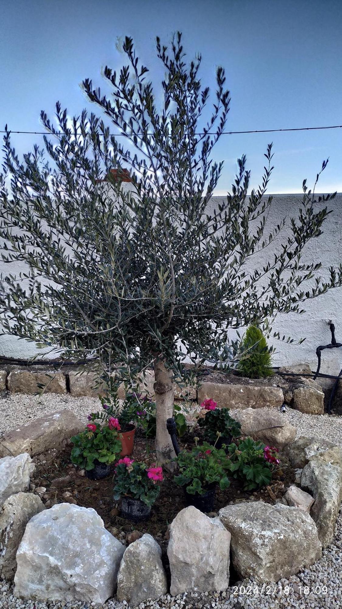 Pegalajar Casa Cueva El Olivo 빌라 외부 사진