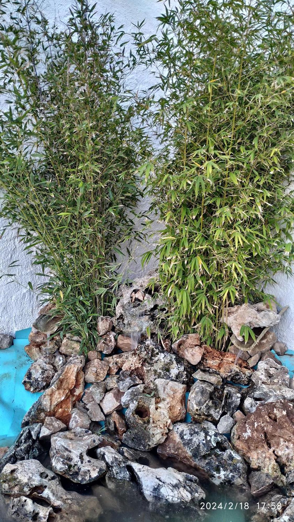 Pegalajar Casa Cueva El Olivo 빌라 외부 사진